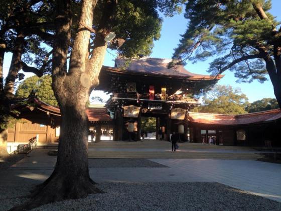 Meiji Jingu shrine - spot the blogger :)